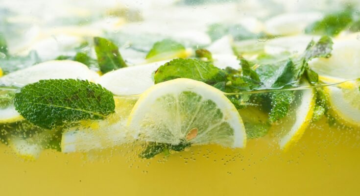 lemon balm for weight loss